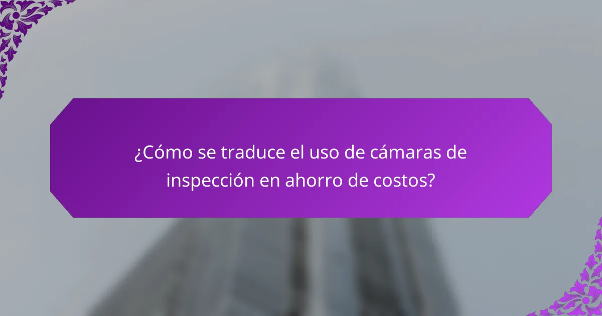 ¿Cómo se traduce el uso de cámaras de inspección en ahorro de costos?