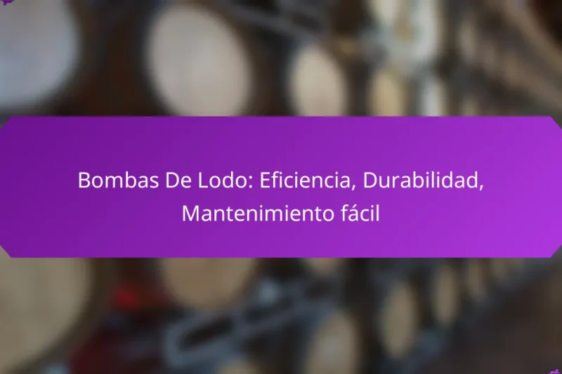 Bombas De Lodo: Eficiencia, Durabilidad, Mantenimiento fácil