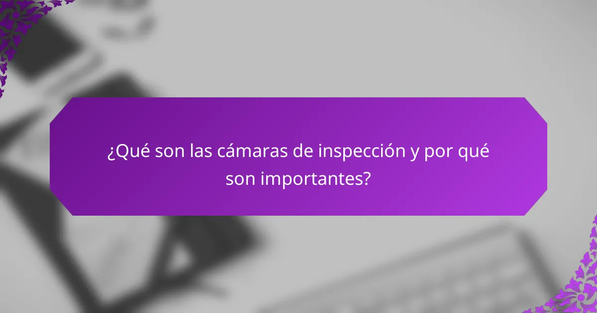 ¿Qué son las cámaras de inspección y por qué son importantes?